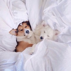 Big Rig Cuddle Mix #1