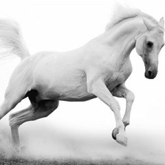 Pale White Horse