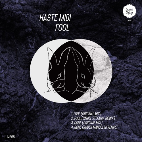 Haste Midi - "Fool" (Daniel Stefanik RMX)