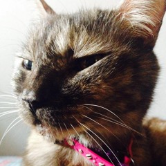 Every breath you take