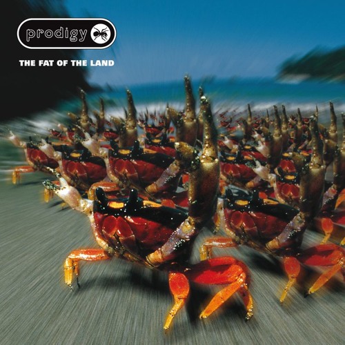 The Prodigy - Narayan (paul infrasonic remix)