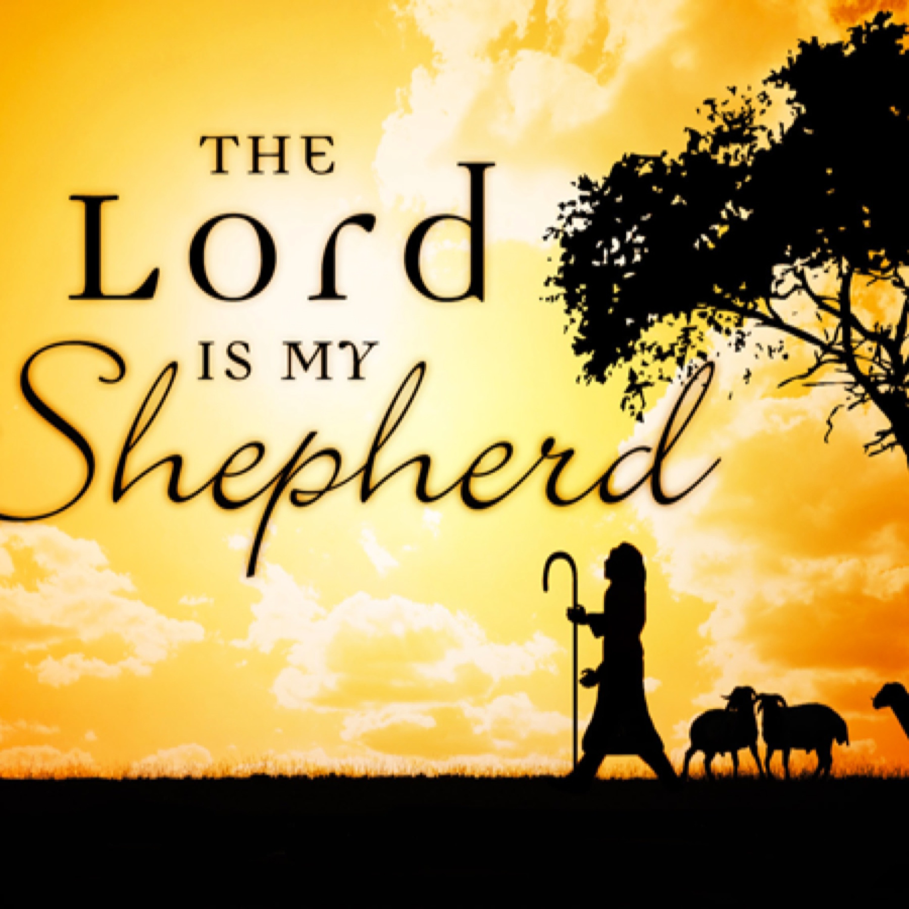 2 - 21 - 16   The Lord Is My Shepherd episode artwork