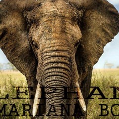 the best of electro life