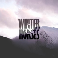 Winter & Horses