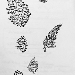 5 songs (คนเจ้าน้ำตา / ความเจ็บปวด / ความทรงจำสีจาง / คิดถึงทุกทีที่อยู่คนเดียว / ดอกราตรี)