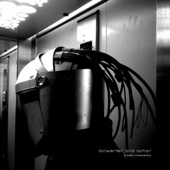 Tonwerfer and Lamar - El Robot