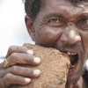 DoMPiiT - Stones are my favorite food!