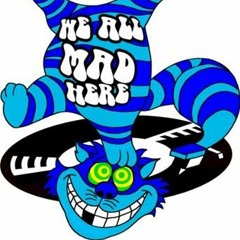 WE ALL MAD HERE PODCAST FREUDE AM HÖREN