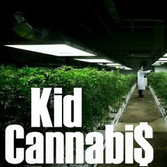 KID CANNABIS