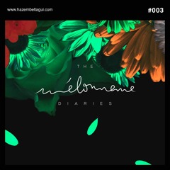 Hazem Beltagui - The Mélomane Diaries 003