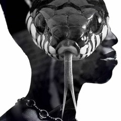 Black Mamba