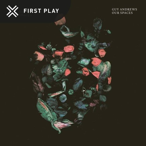 First Play: Guy Andrews - Decipher [Houndstooth]