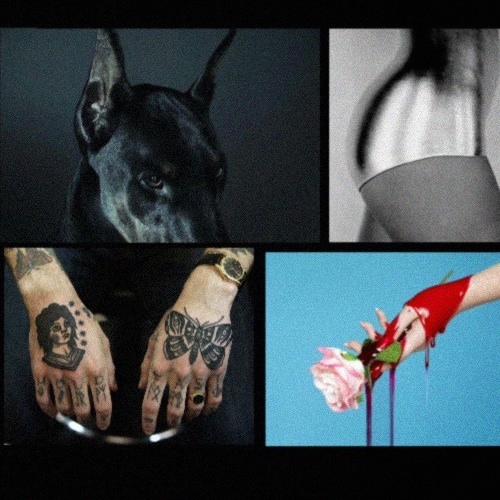 Night Comforts Tour USA 2016  LIVE