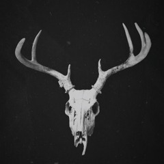 Roll the Bones (Shakey Graves Cover)