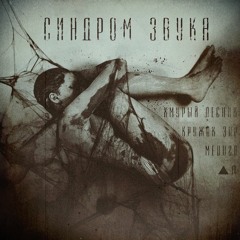 Кружок ЗПР, Хмурый лесник, Meduza, ▲д - синдрома звука 1