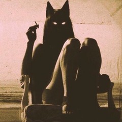 ChancesWithWolves1