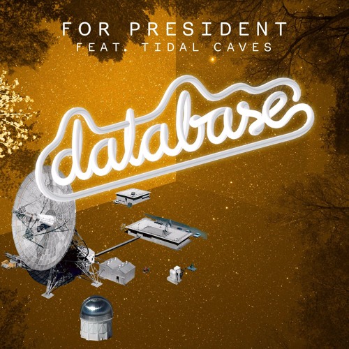 Database - For President Feat. Tidal Caves (F82 Remix)