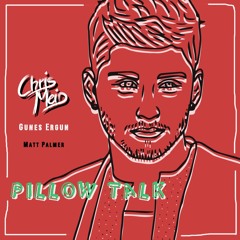Zayn Malik - Pillow Talk (CHRIS MEID & Gunes Ergun Remix) [Matt Palmer Cover]