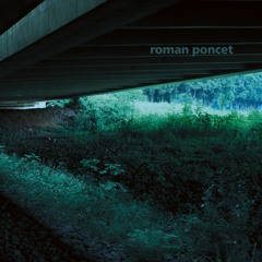 Figure 75 - Roman Poncet - Marguerite