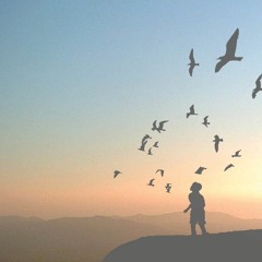 Freedom