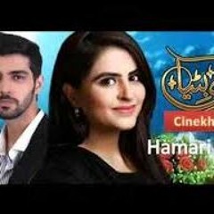 Hamari Bitya Drama OST Full Title Song   Ary Zindagi   Cinekhabar