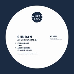 WPR009 - Shudan - Arctic Garms EP