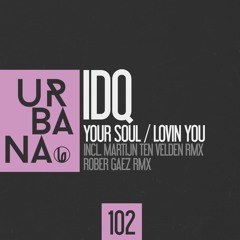 IDQ- Your Soul (Martijn Ten Velden Remix) SC Edit