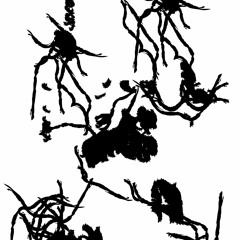 Roman Catholics and Ensemble of Terror Split Tape Preview