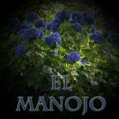 El Manojo