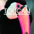 Toucan (Original Mix)