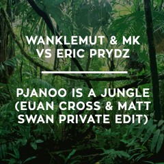 Pjanoo Is A Jungle (Euan Cross & Matt Swan Private Edit) *CLICK BUY FOR FREE DOWNLOAD*