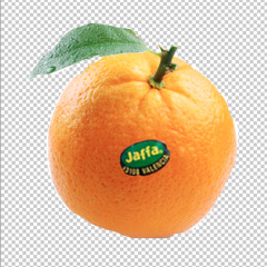 JAFFA Freestyle Ft. Doomsday