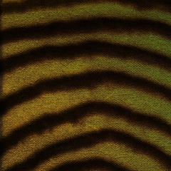 Gängeviertel 8. 02. 15