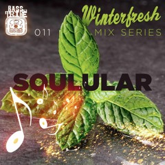 Winterfresh Mix Series 011 // Soulular