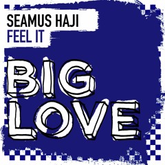 Seamus Haji - Feel It - Original Mix