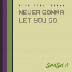 Ryle - Nerver Gonna let you go (Funkdamento Remix)