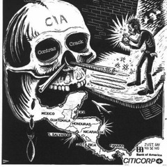 Prof.Procore - Psychoaktives Experiment