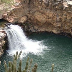 MonaConGuitarra_RASCUNHO_2_Mamae Cachoeira