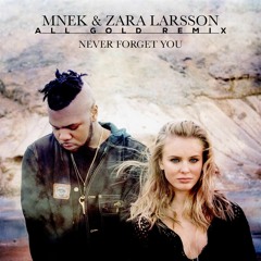 MNEK - Never Forget You (All Gold Remix)