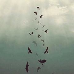من سورة الملك القارئ/ حاتم المالكي