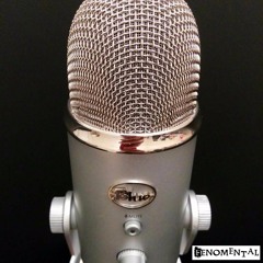 Fenomental Podcast - Episode 1 - Hva er coaching, og hvorfor er ikke en coach din beste venn?