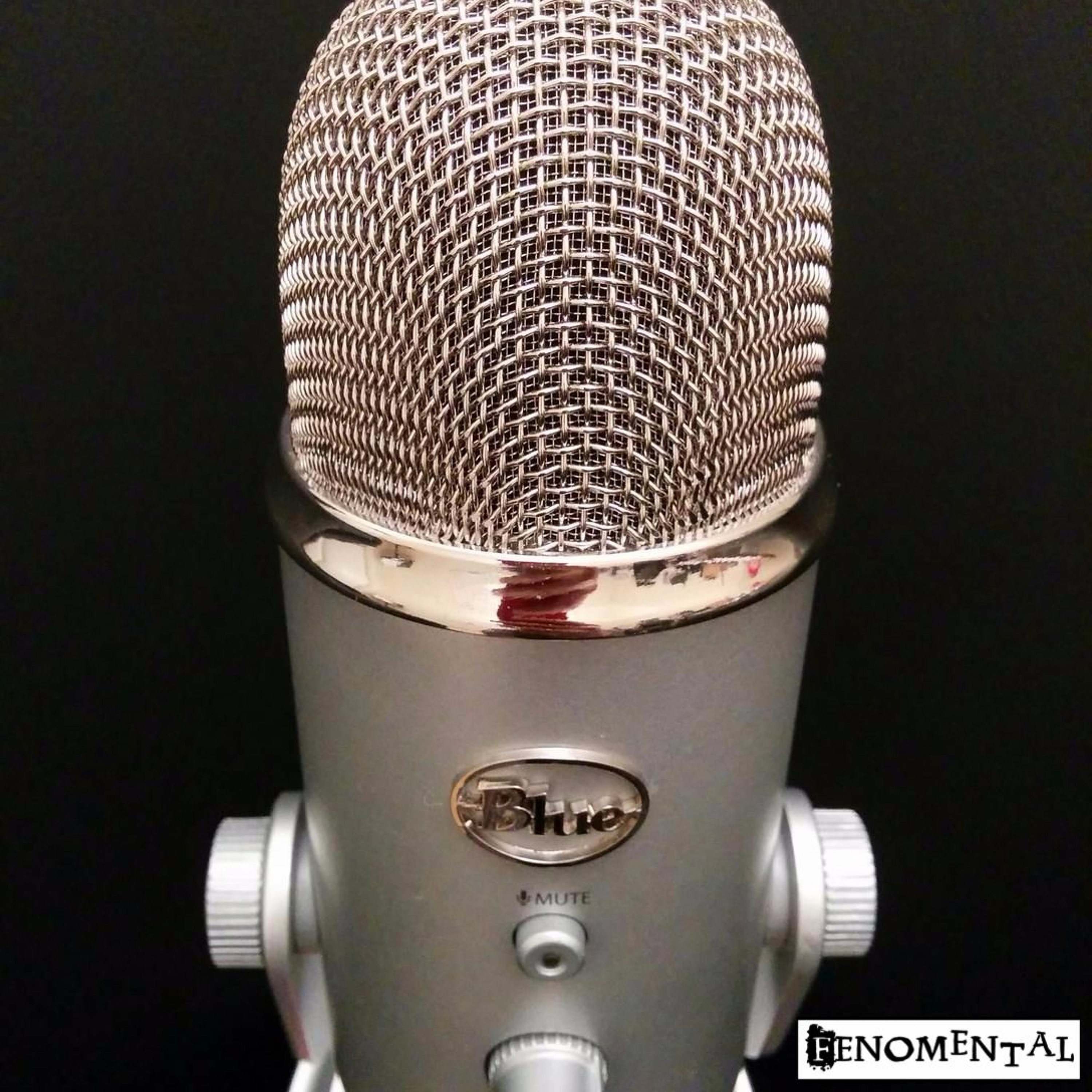 Fenomental Podcast - Episode 1 - Hva er coaching, og hvorfor er ikke en coach din beste venn? episode artwork