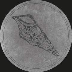 Fossil Archive 004 - Voiski & Roberto - Calyptraphorus Velatus
