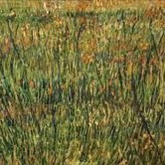 Undone (The Sweater Song) - Weezer Cover