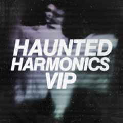 Thelem - Haunted Harmonics (VIP) [Premiere]