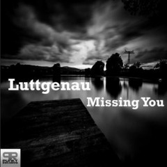 Missing You (Original Mix)[Exclusive Preview]