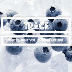 Trace - Juicy sunset vol 26: SUMMARY 2015