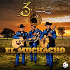 Los 3 De Sinaloa - El Muchacho