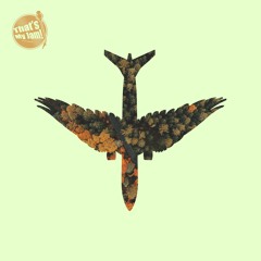 ReeferCool - Flying South (Original Mix) Now In Beatport!!