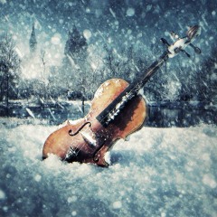 Orchestra